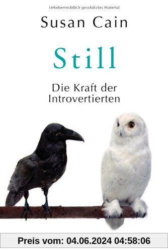 Still: Die Kraft der Introvertierten